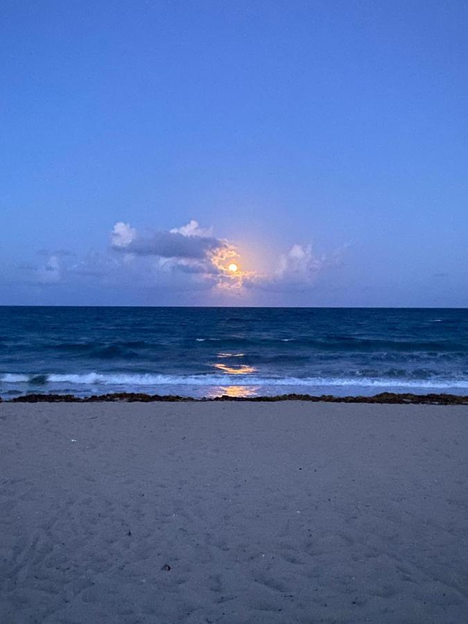 Cozy Studio Near Atlantic Ave W/Private Patio Lejlighed Delray Beach Eksteriør billede